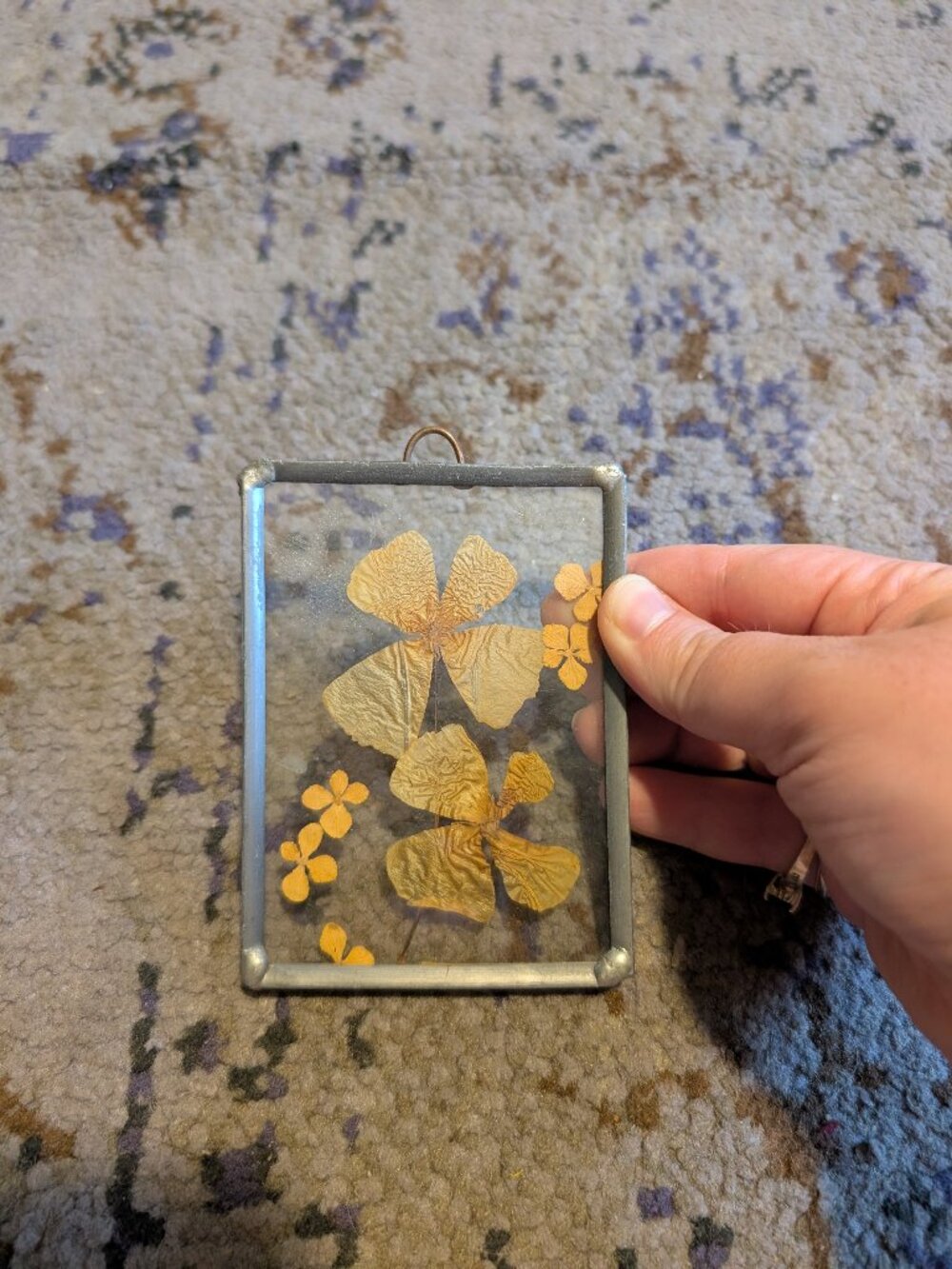 Tiny Dried Pressed Flowers Picture Leaded Frame Vintage Clear Hanging Frame